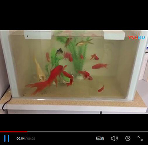 有釉面發(fā)泡陶瓷保溫板防水魚(yú)缸